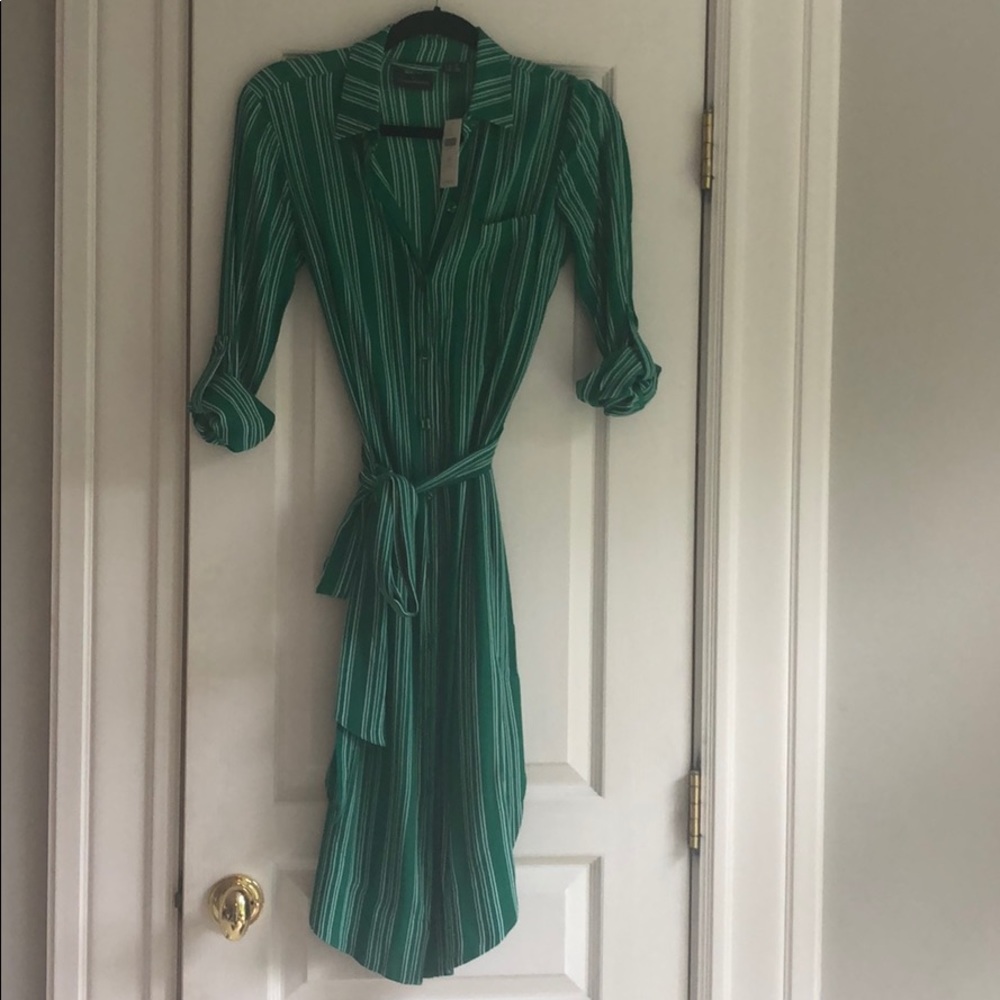 Beautiful Anthropologie green striped shirt dress